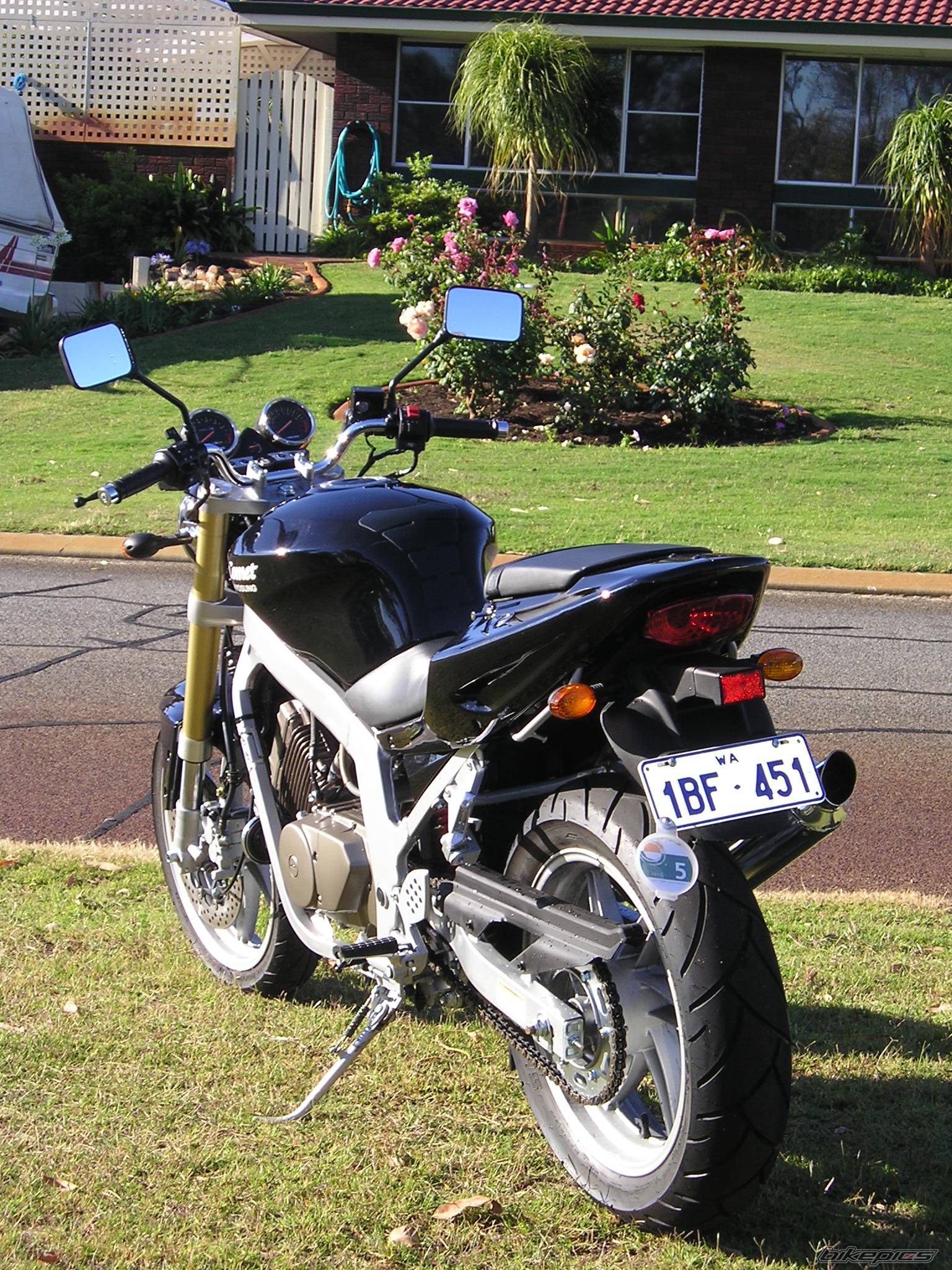Photo 273622