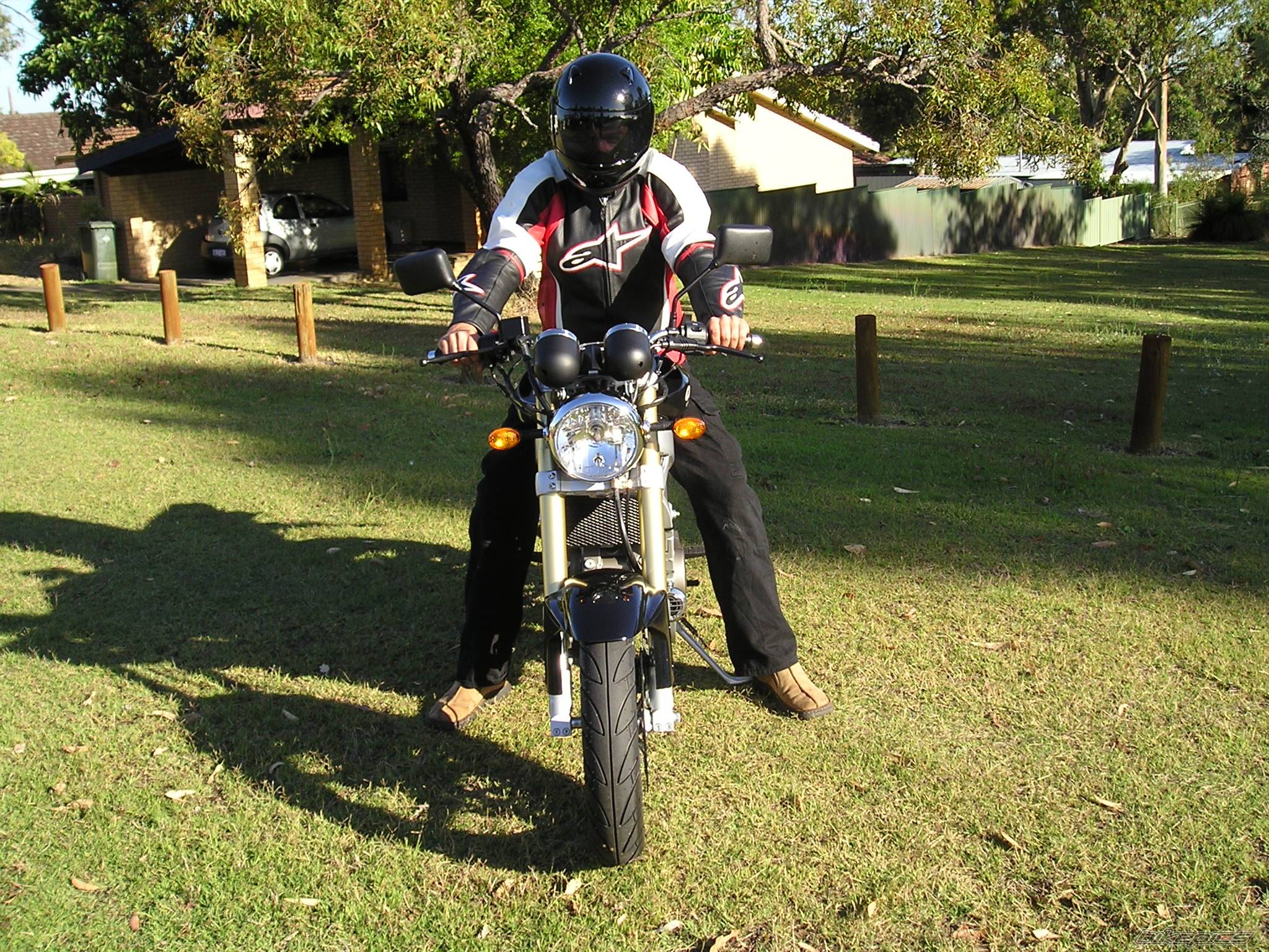 Photo 273630