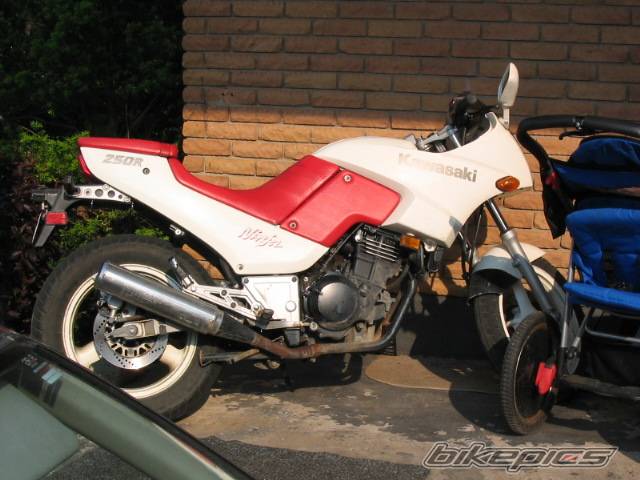 Bike Photo 273636