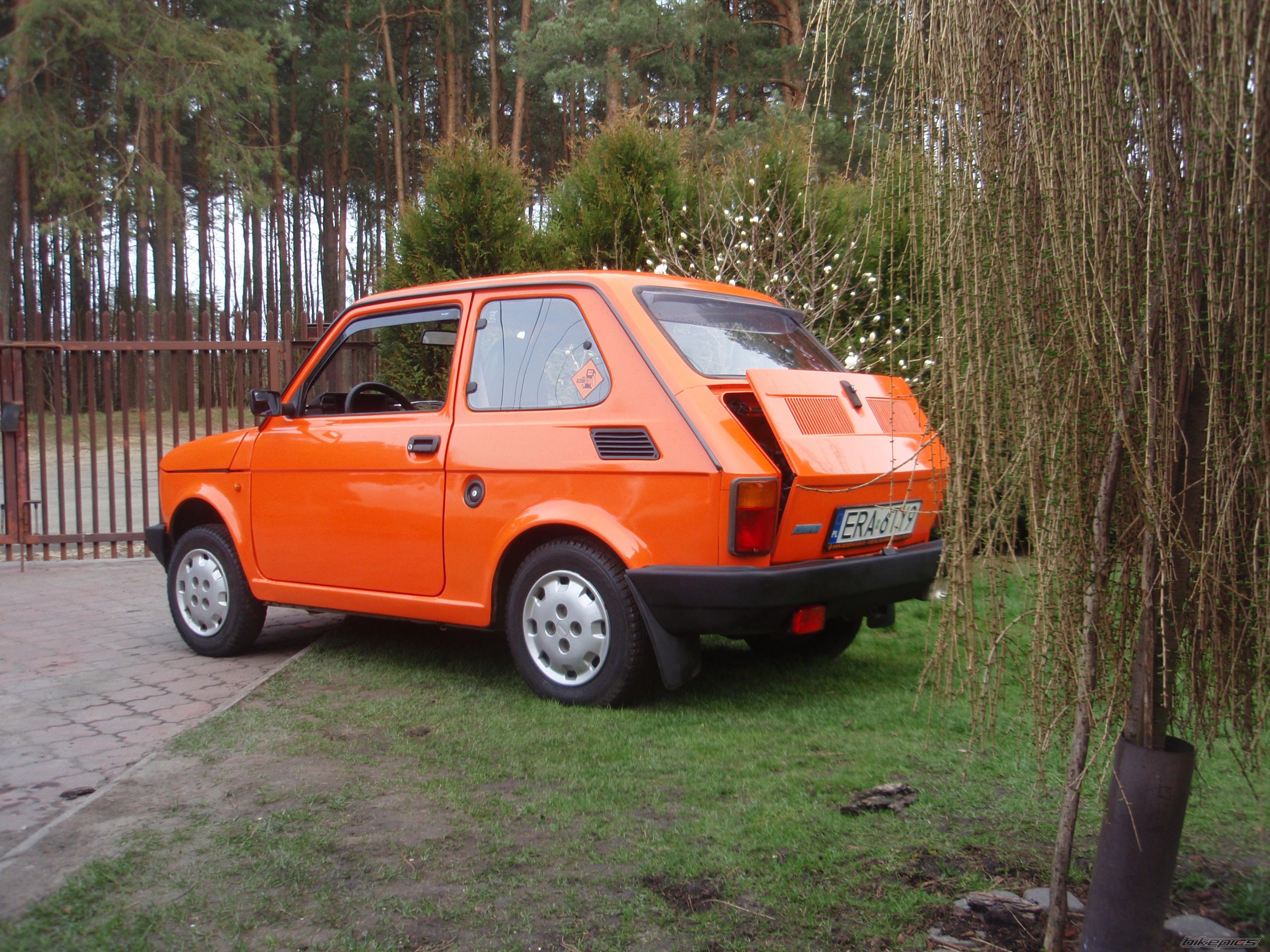 Photo 2736373