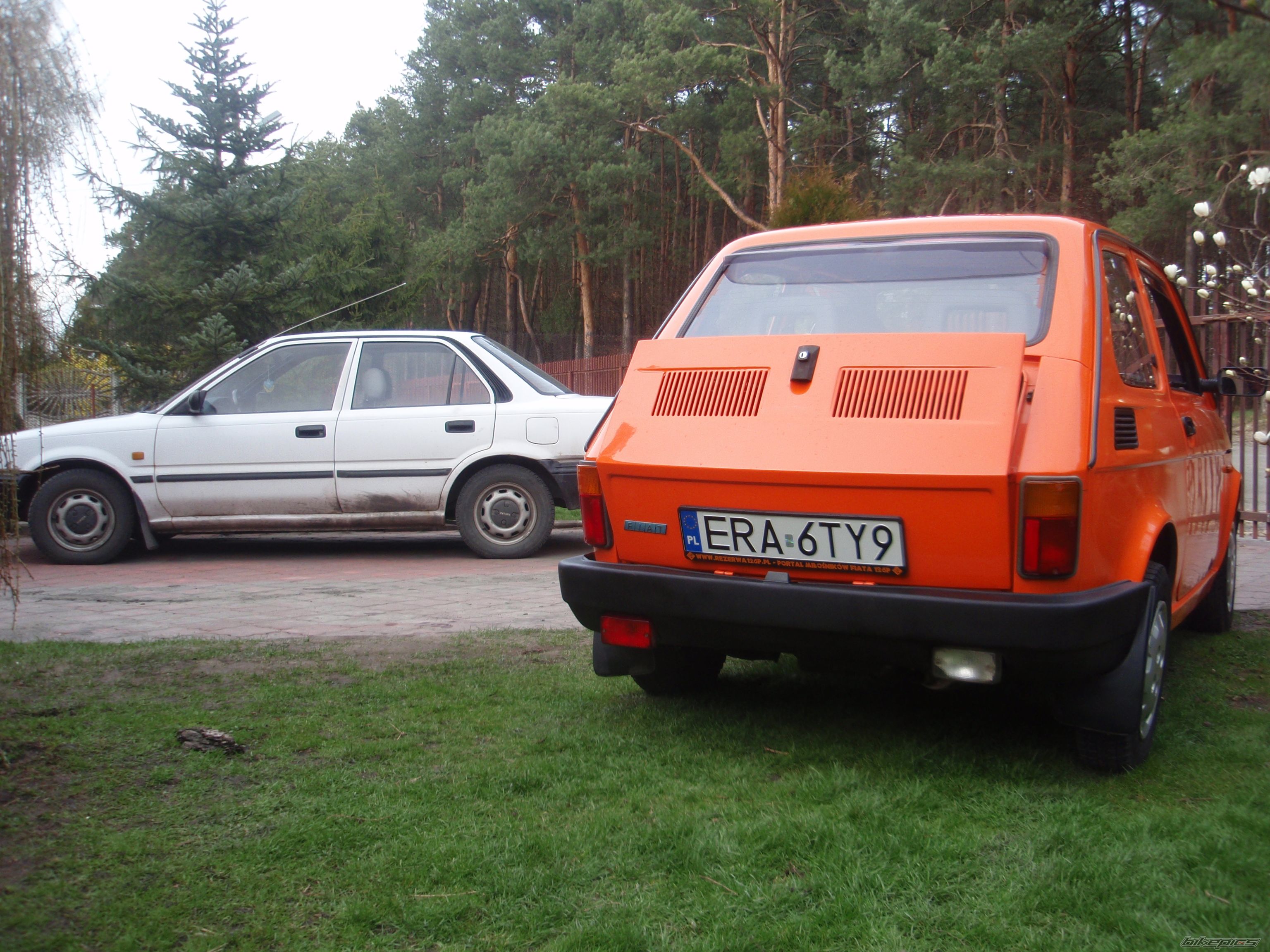 Photo 2736374