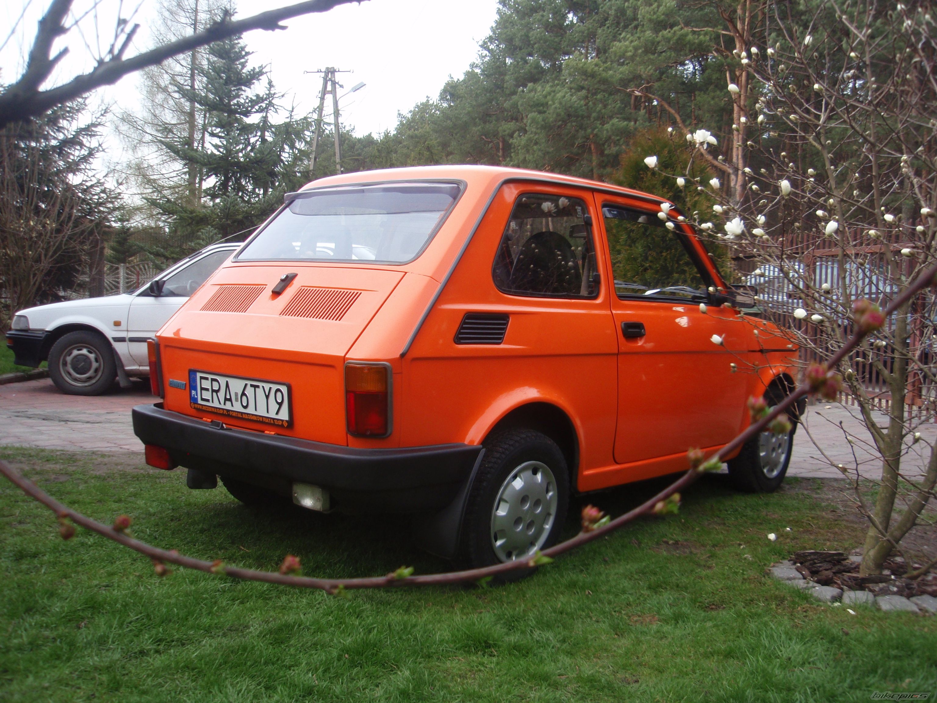 Photo 2736375