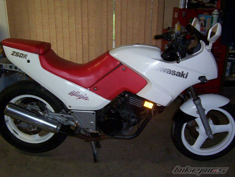 Photo 273638