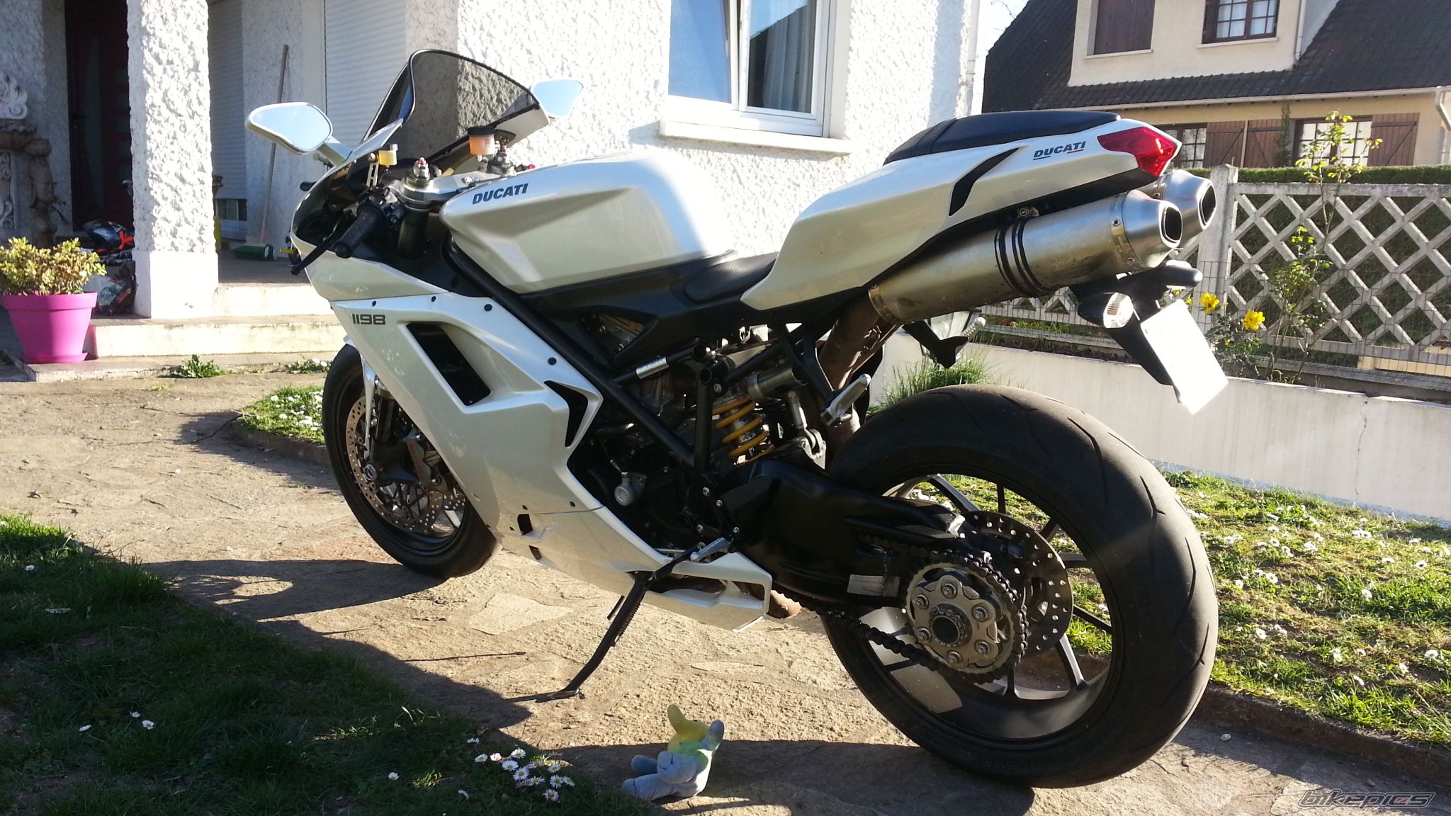 Photo 2736405