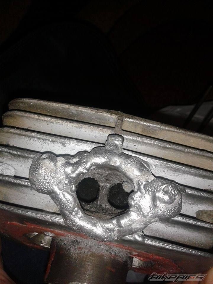 Photo 2736440