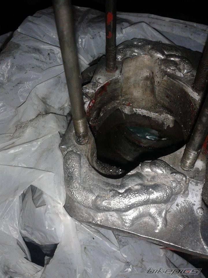 Photo 2736441