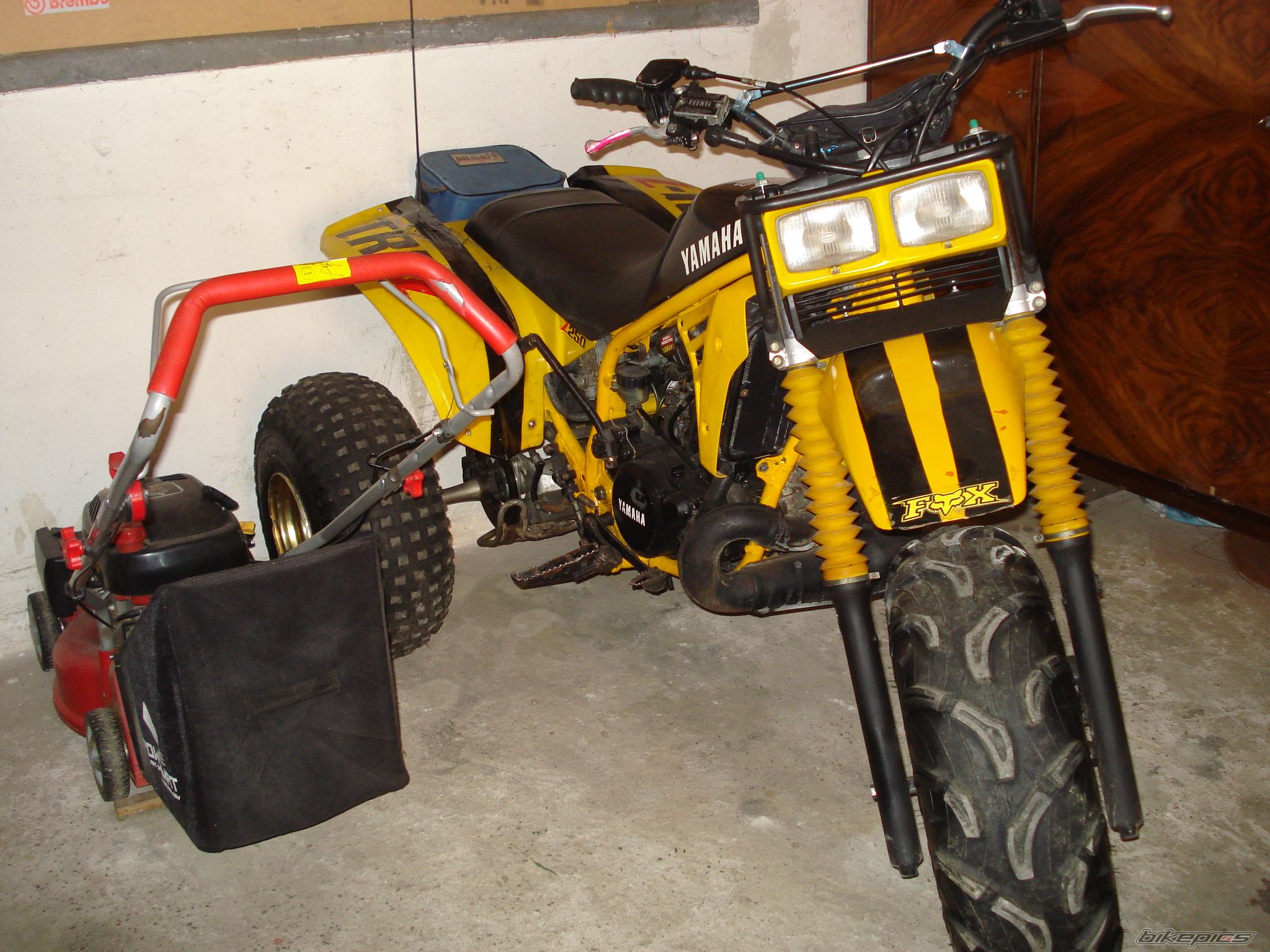 Photo 2736484