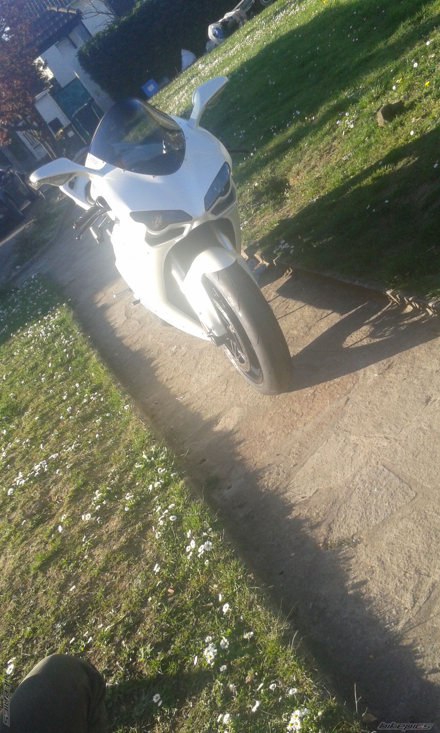 Photo 2736503
