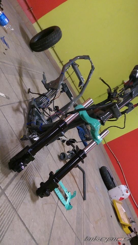 Photo 2736593