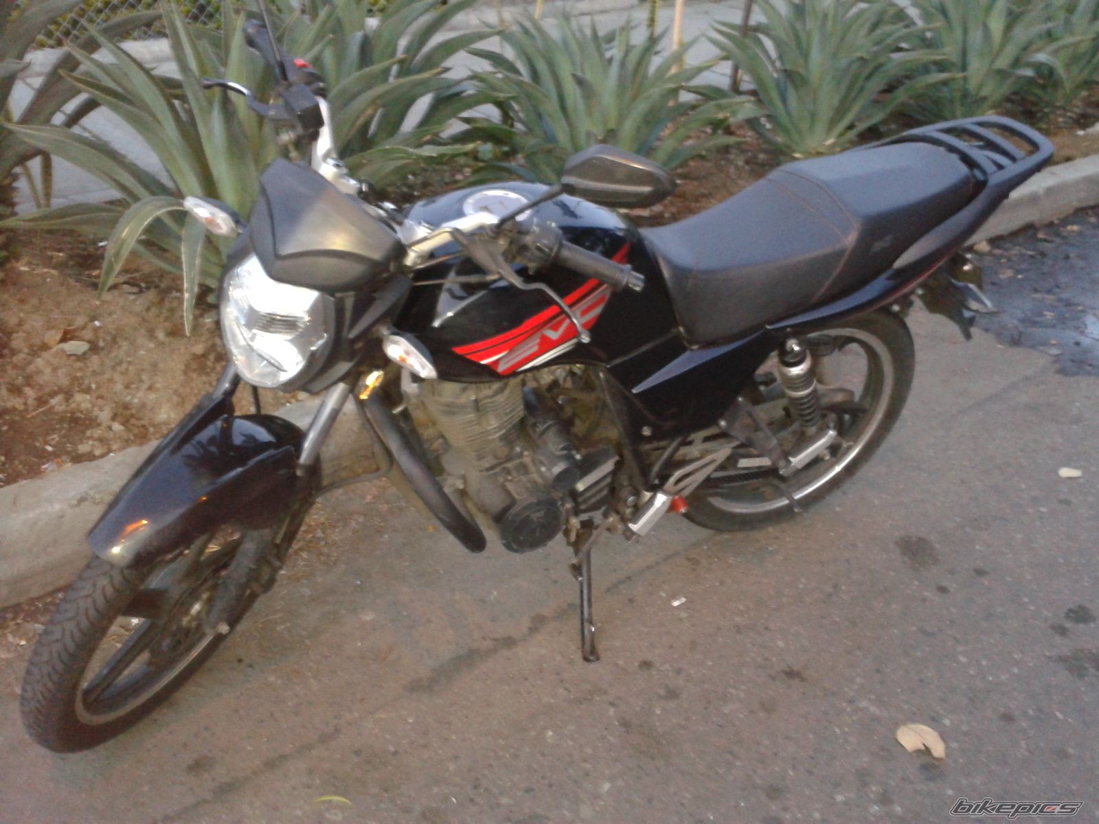 Photo 2736608