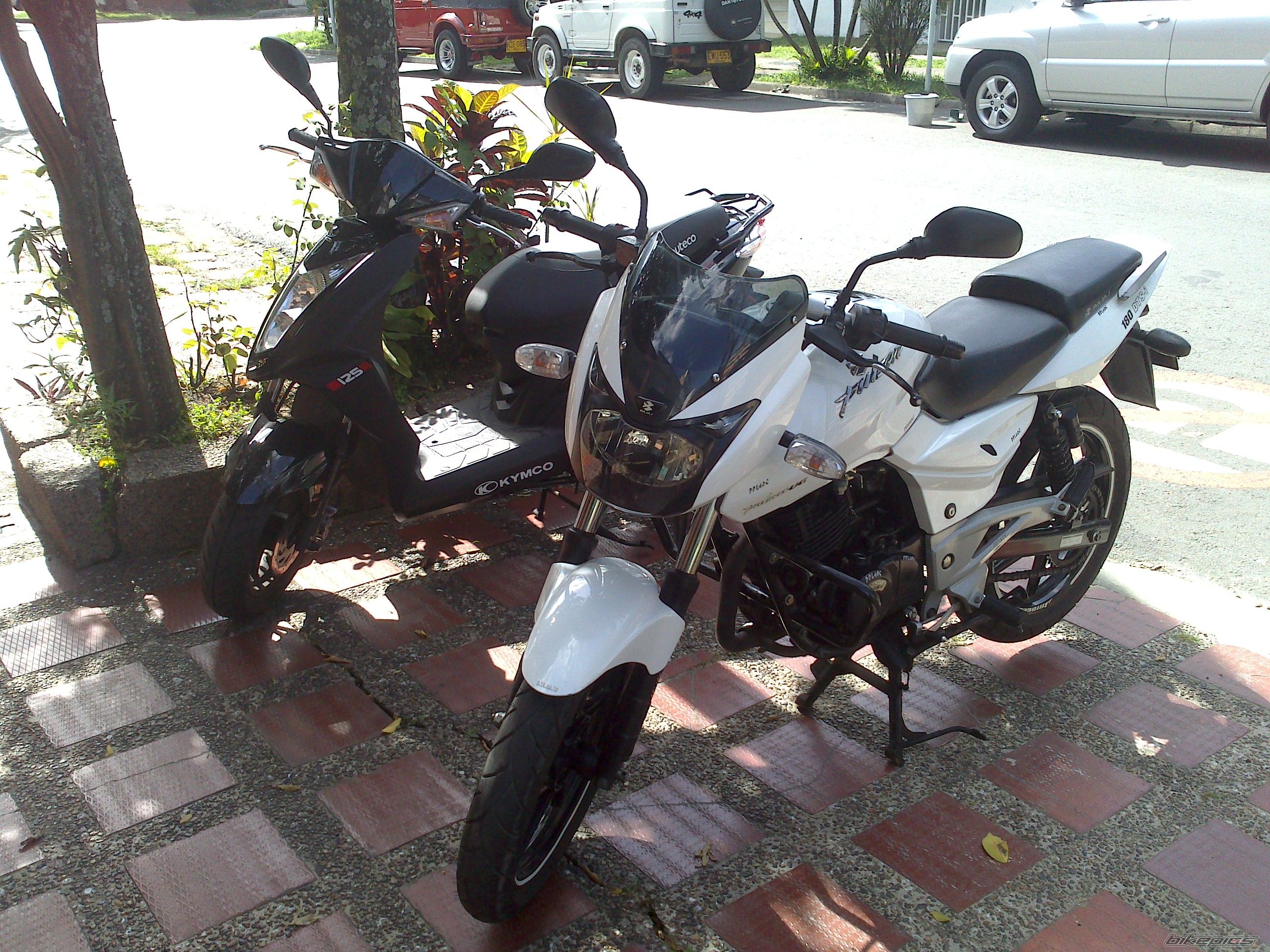 Photo 2736612