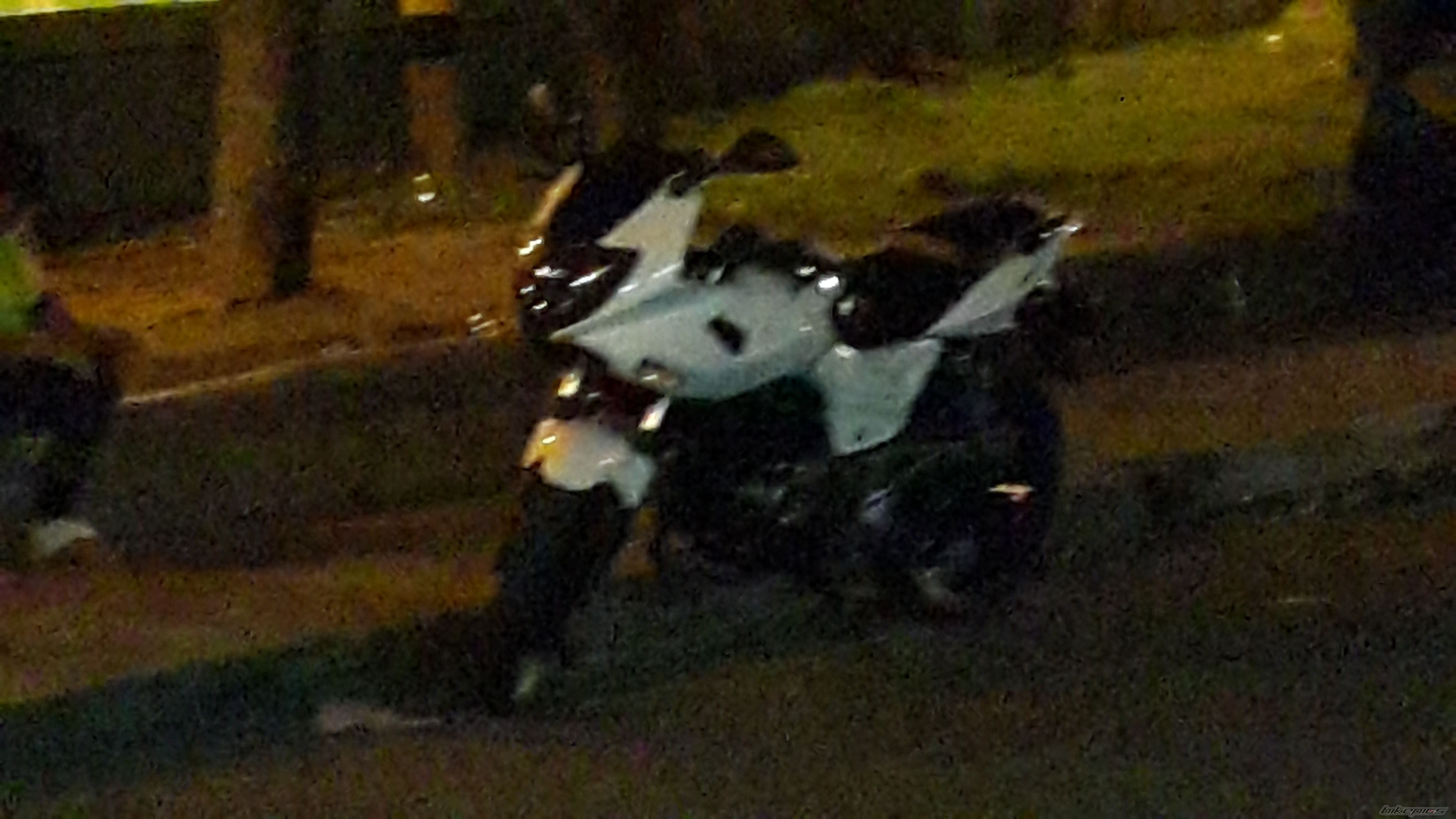 Photo 2736621