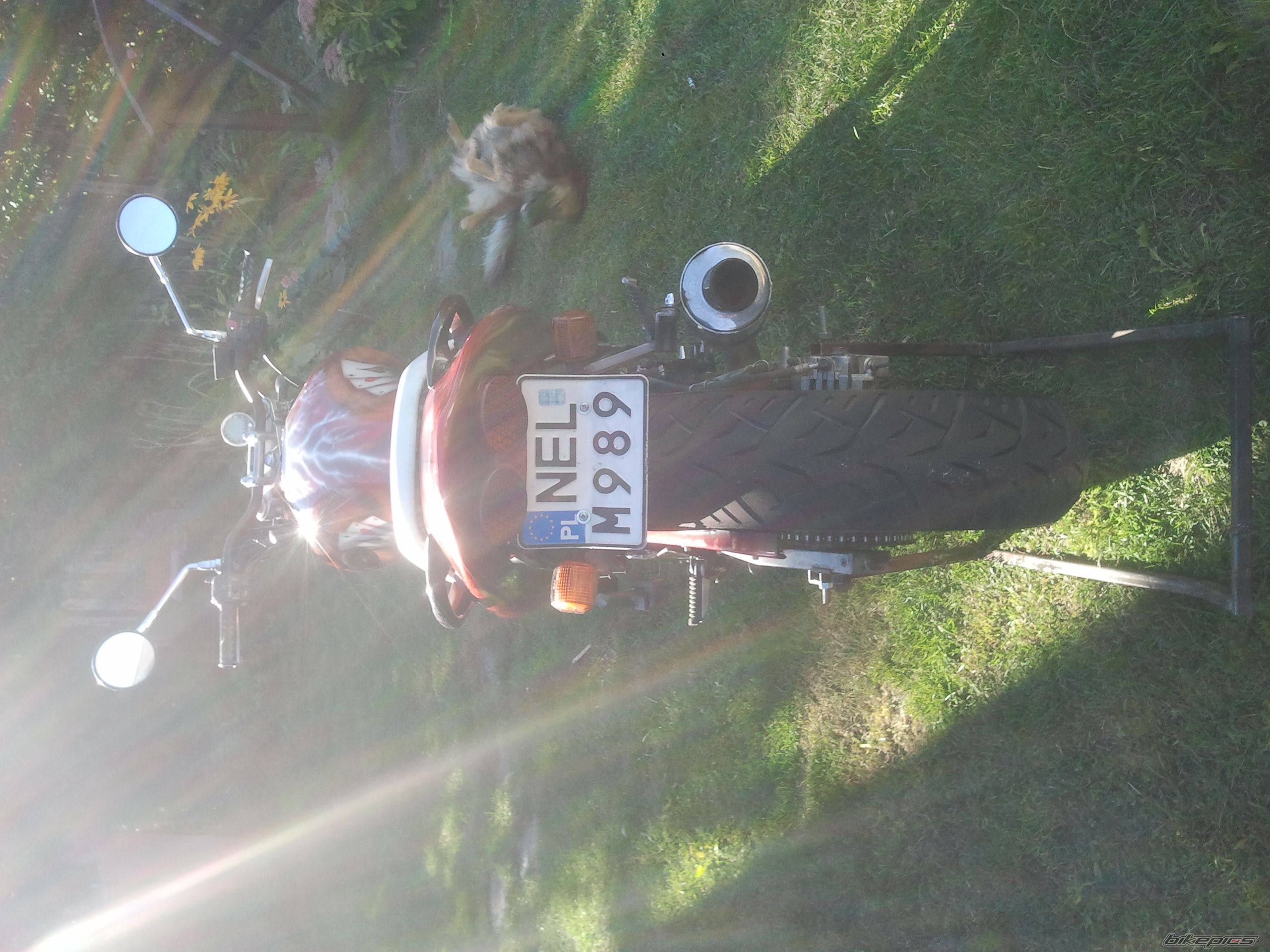 Photo 2736707