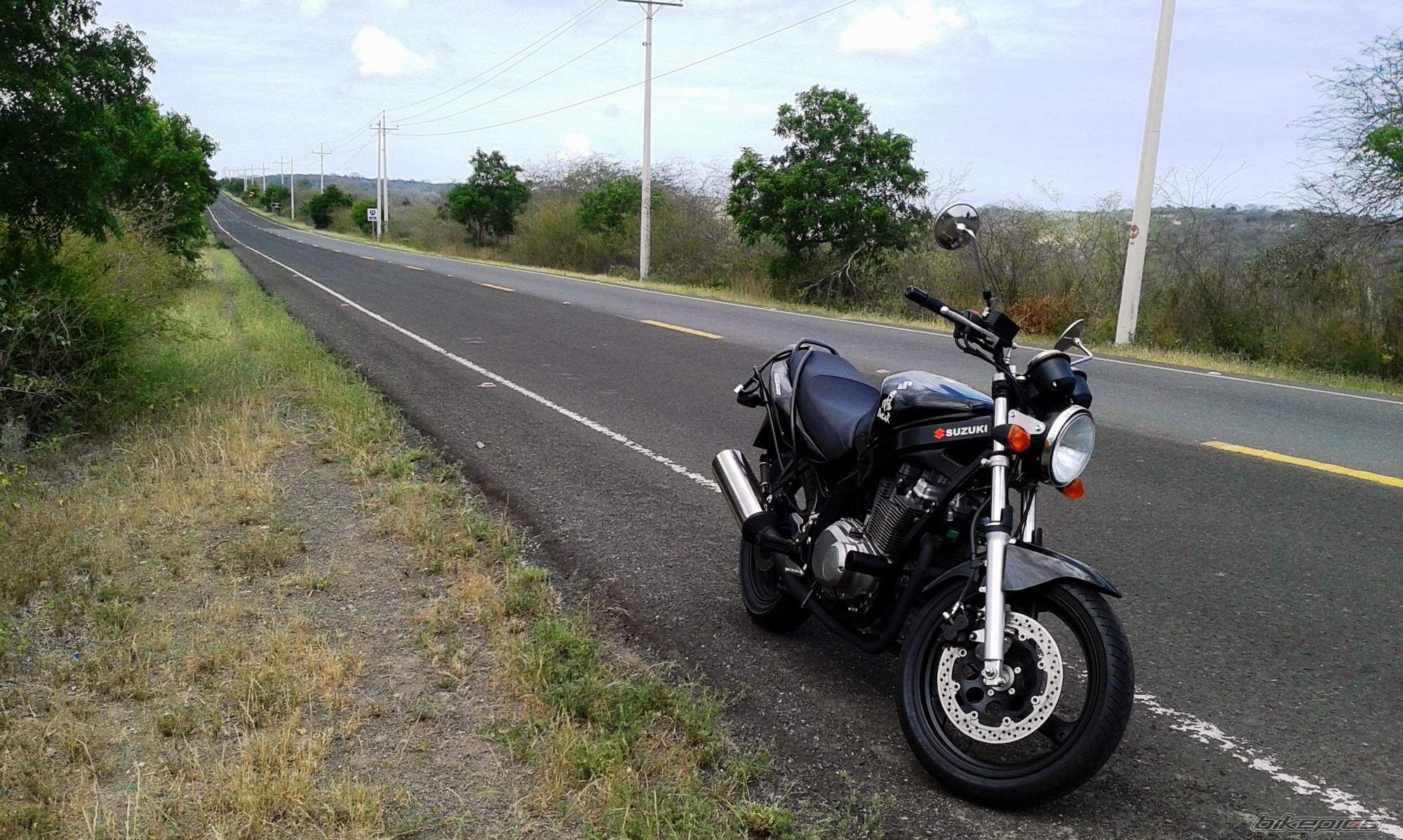 Photo 2736733