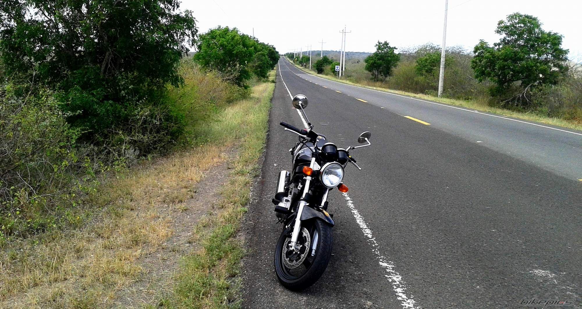 Photo 2736739