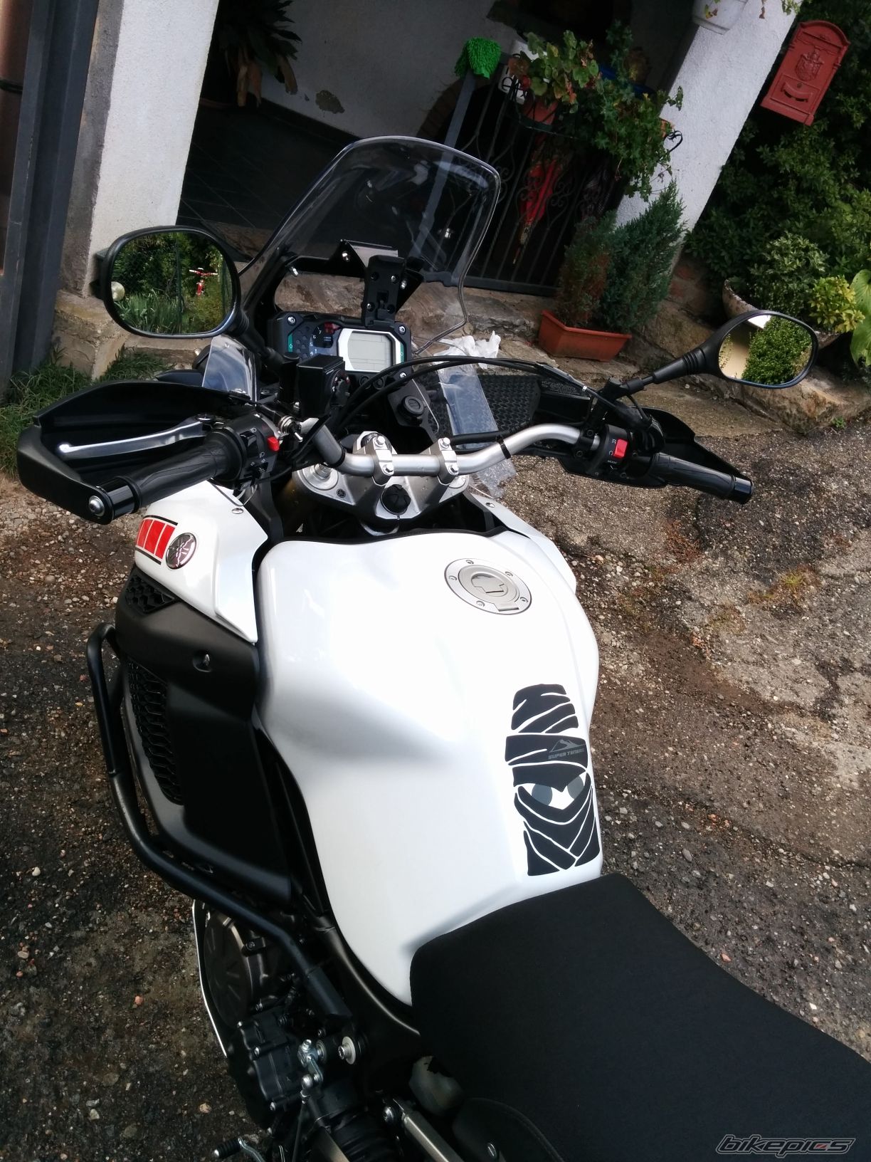 Photo 2736847