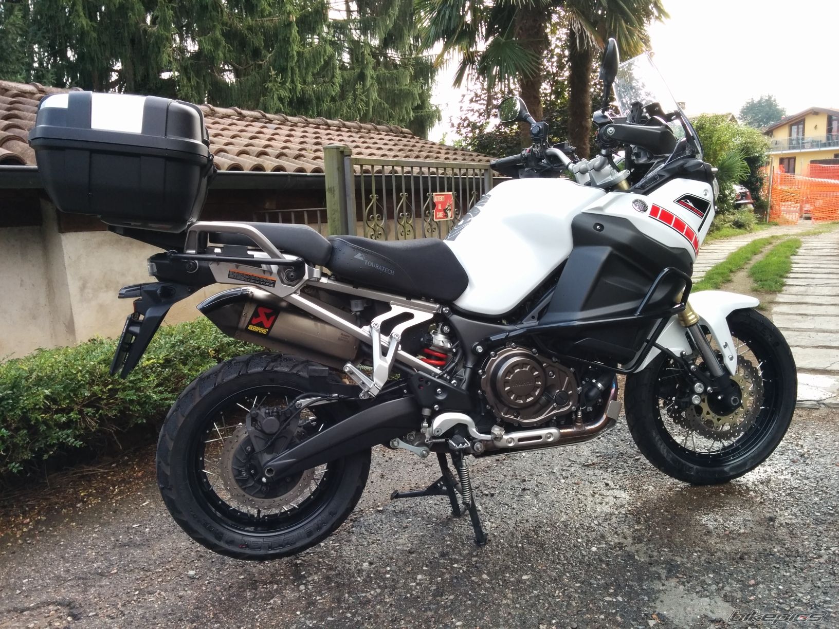 Photo 2736849