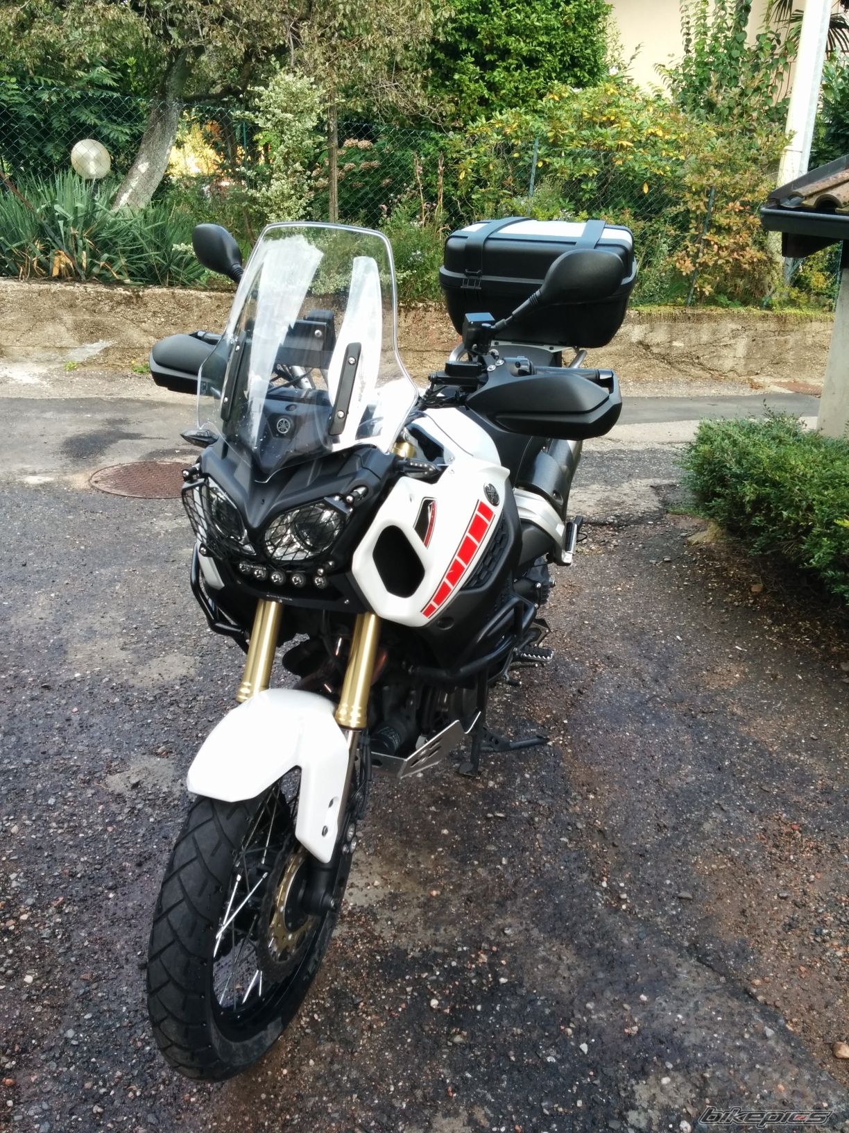 Photo 2736850