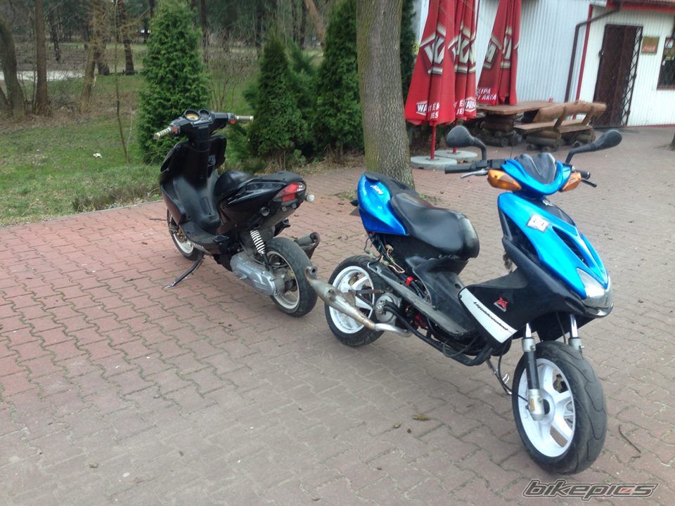 Photo 2736852