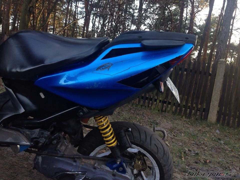 Photo 2736854
