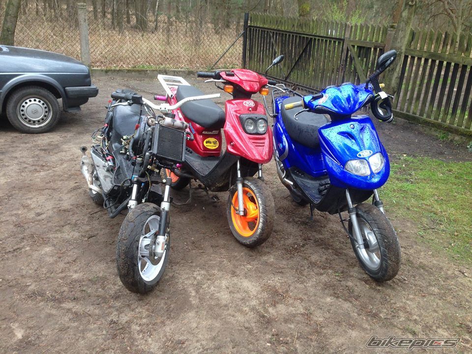 Photo 2736869