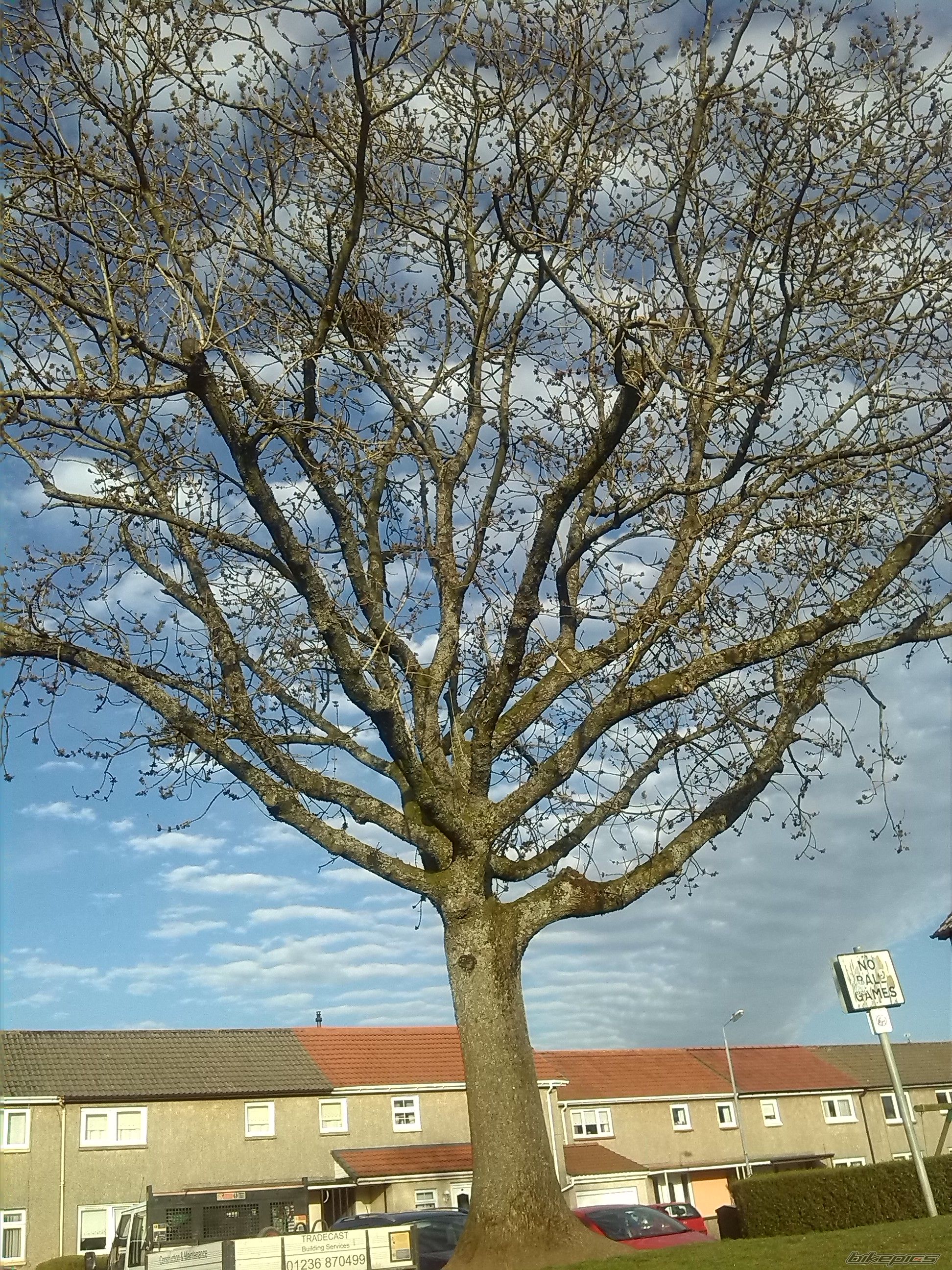 Photo 2736872