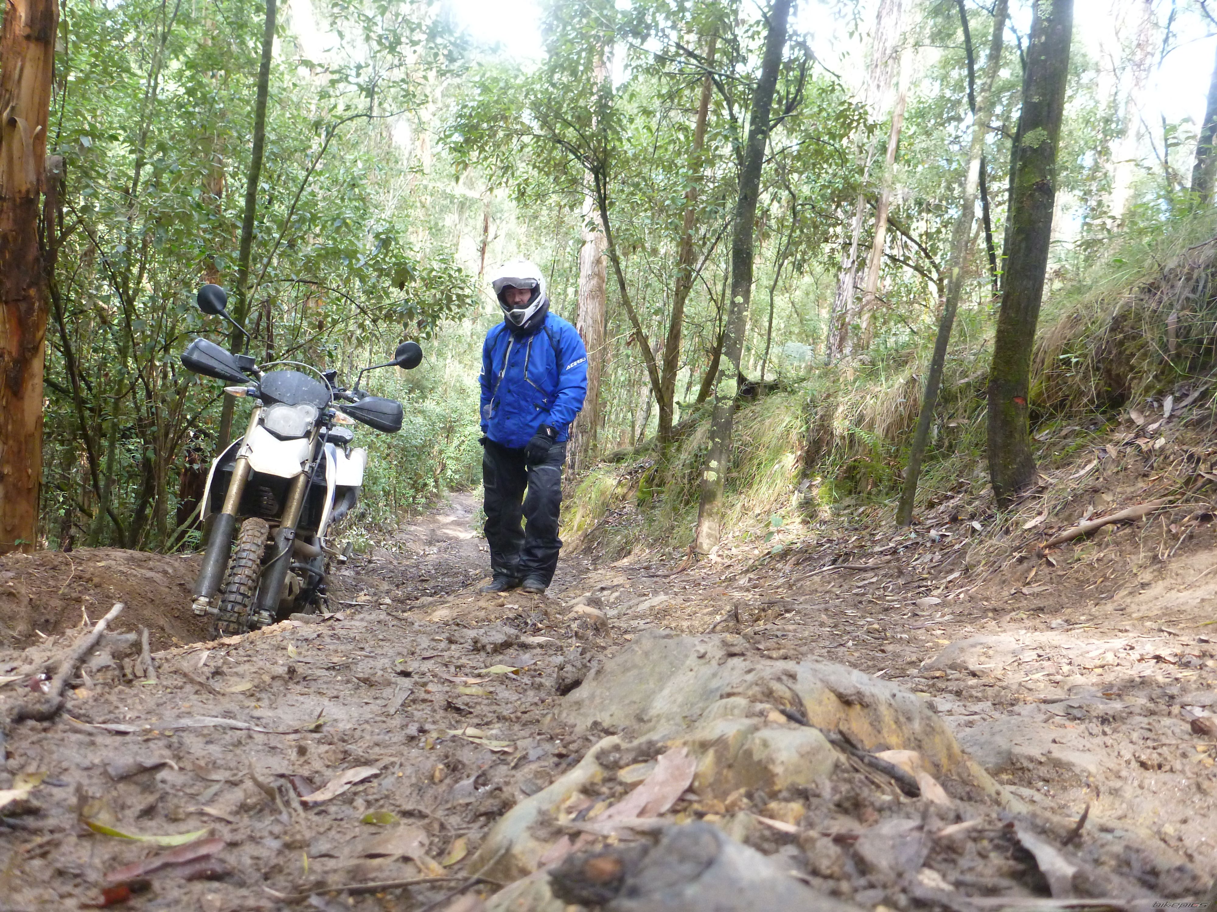 Bike Photo 2737021
