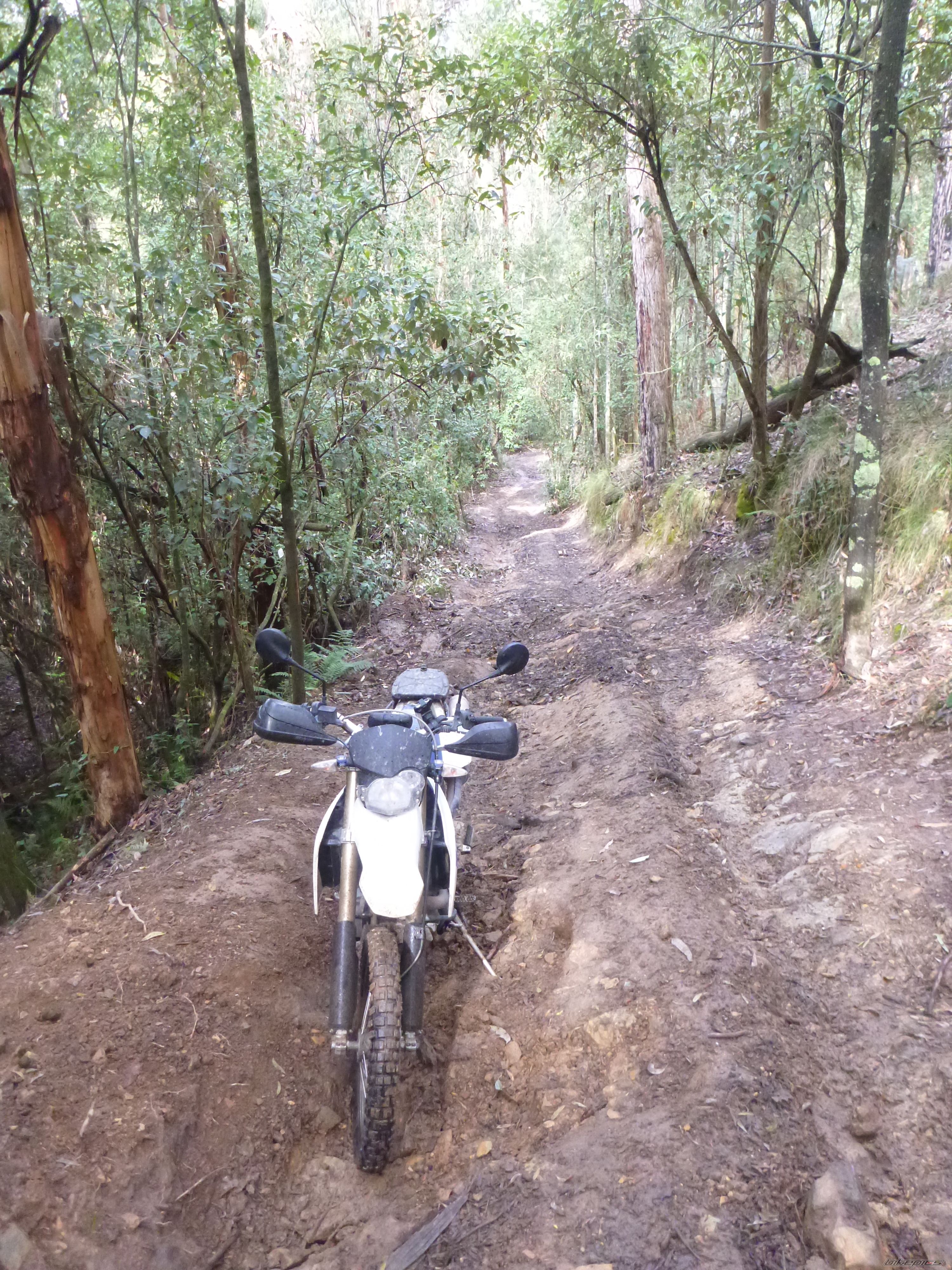 Bike Photo 2737023