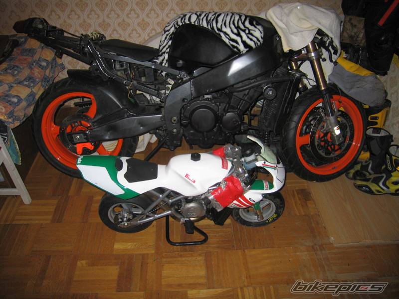 Photo 273707