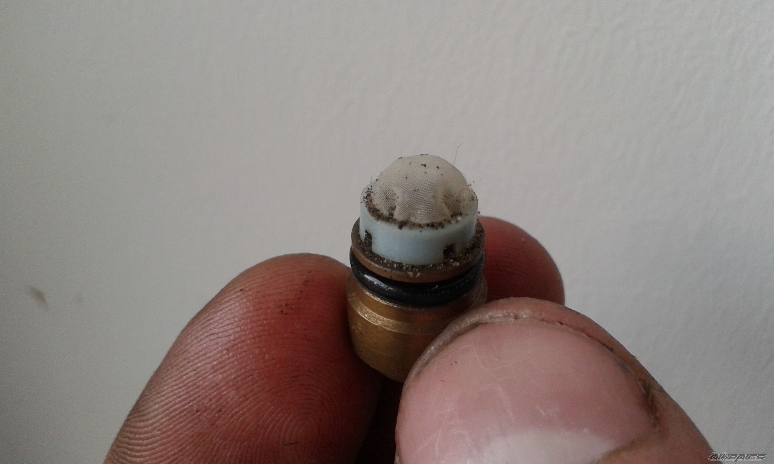 Photo 2737140