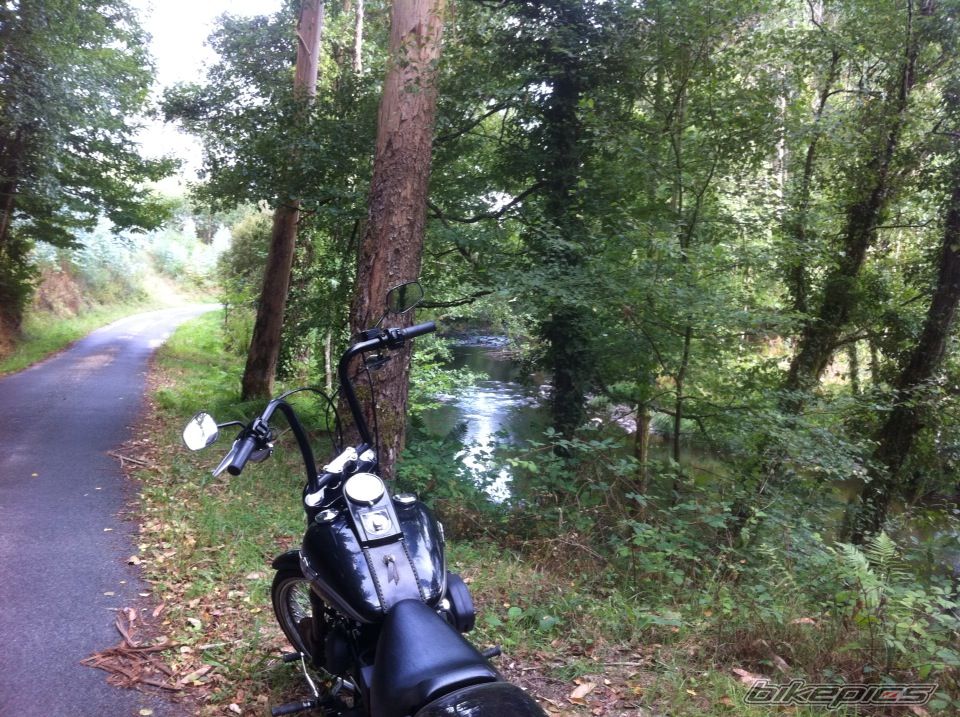 Photo 2737362