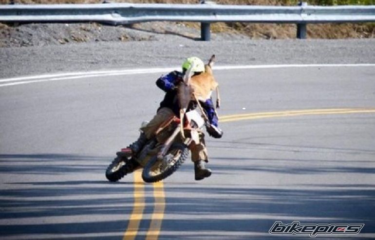 Photo 2737383