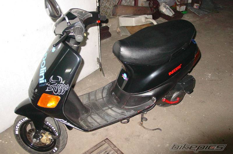 Photo 273748