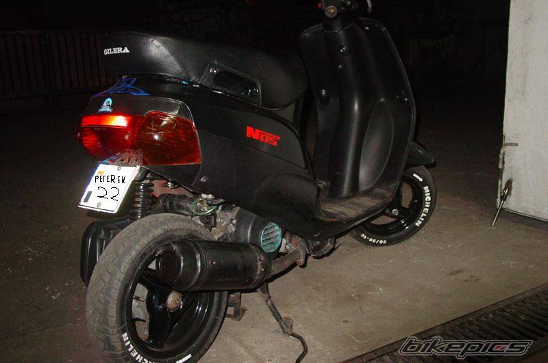 Photo 273757