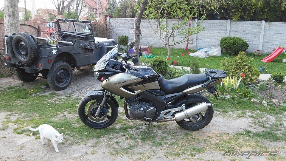 Photo 2737628