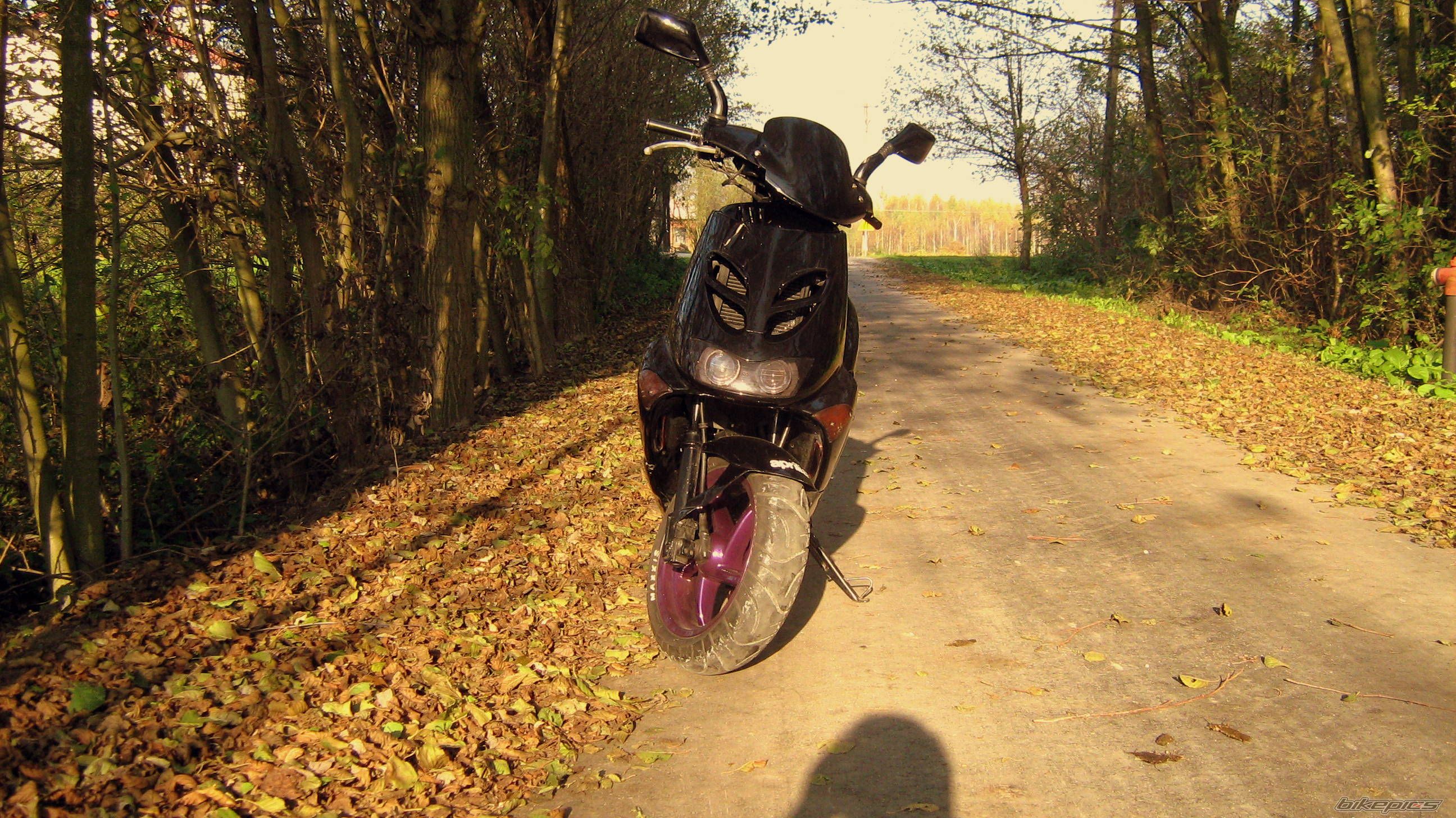 Photo 2737641
