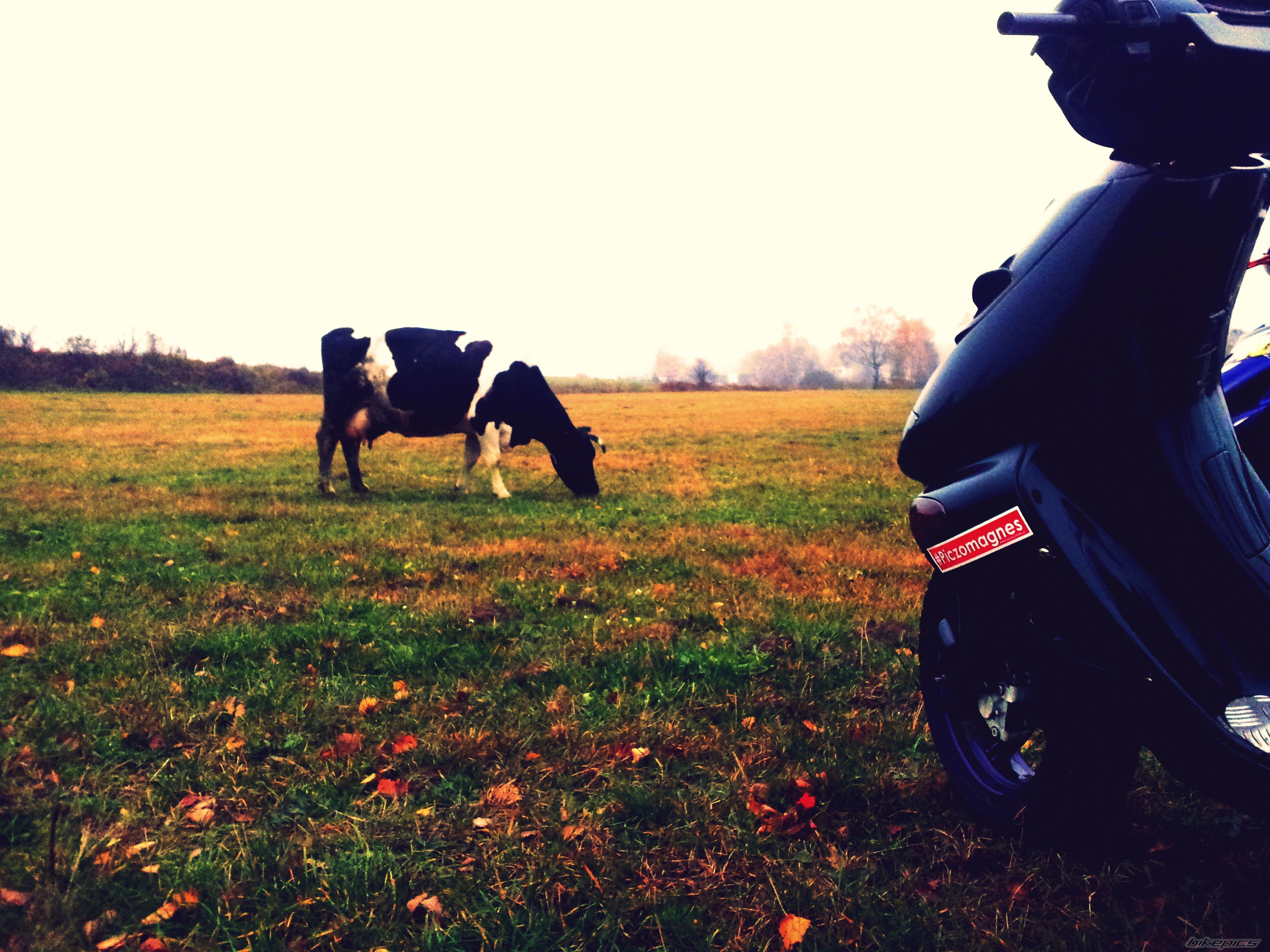 Photo 2737645