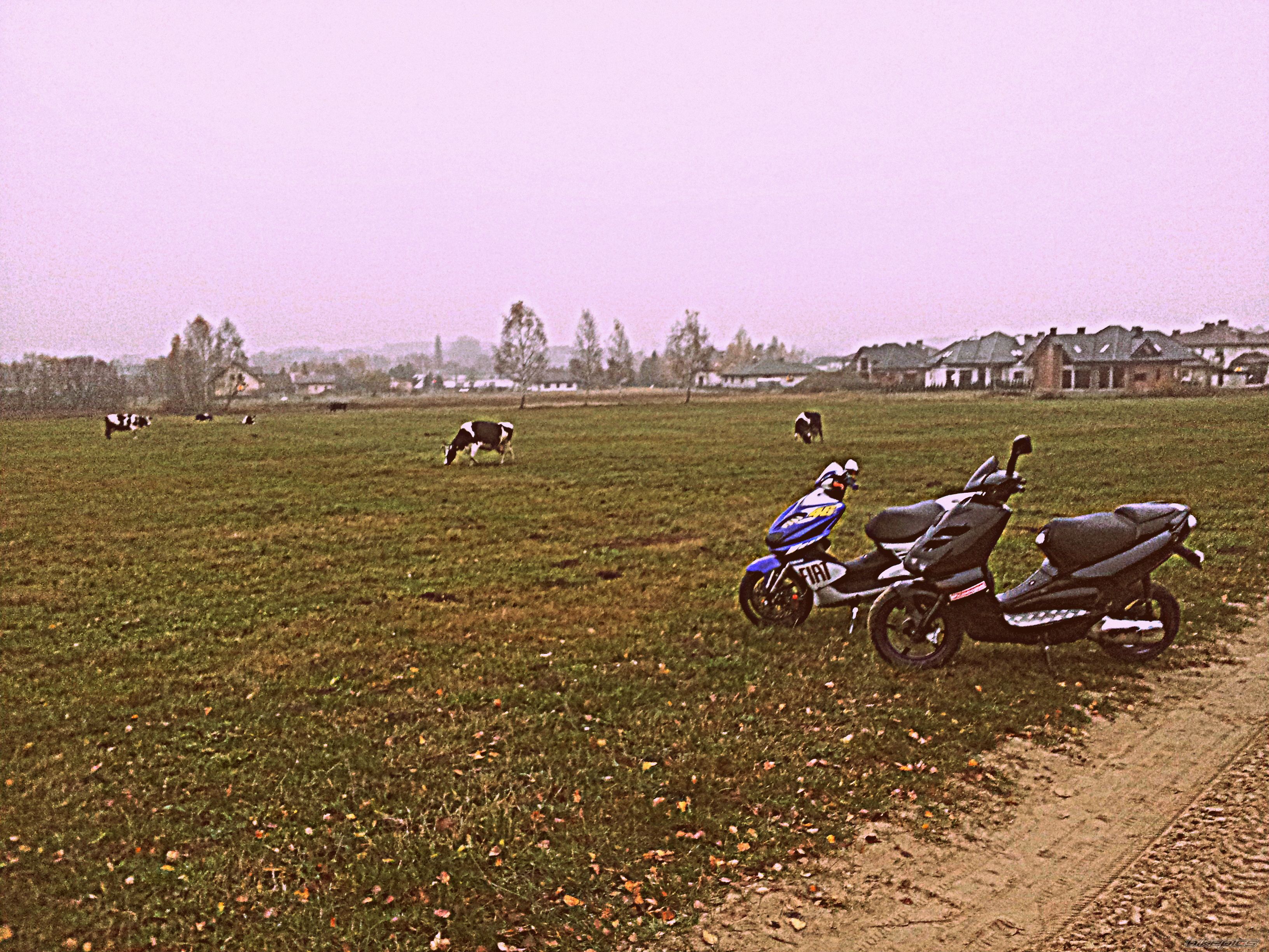 Photo 2737648