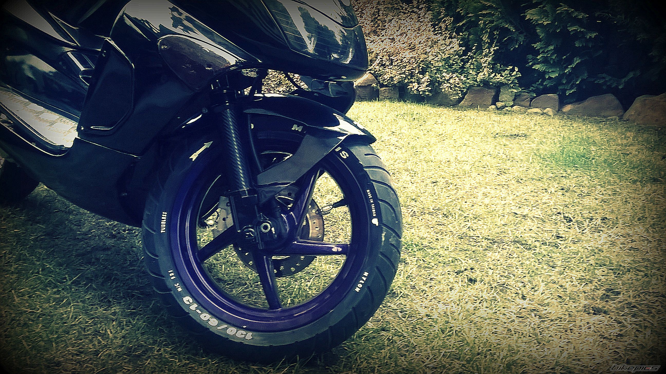 Photo 2737650