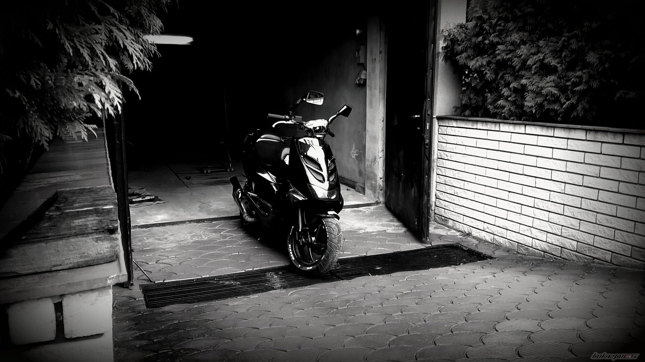Photo 2737653