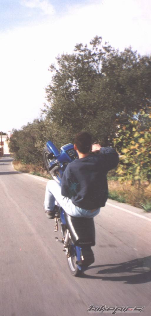 Photo 273766