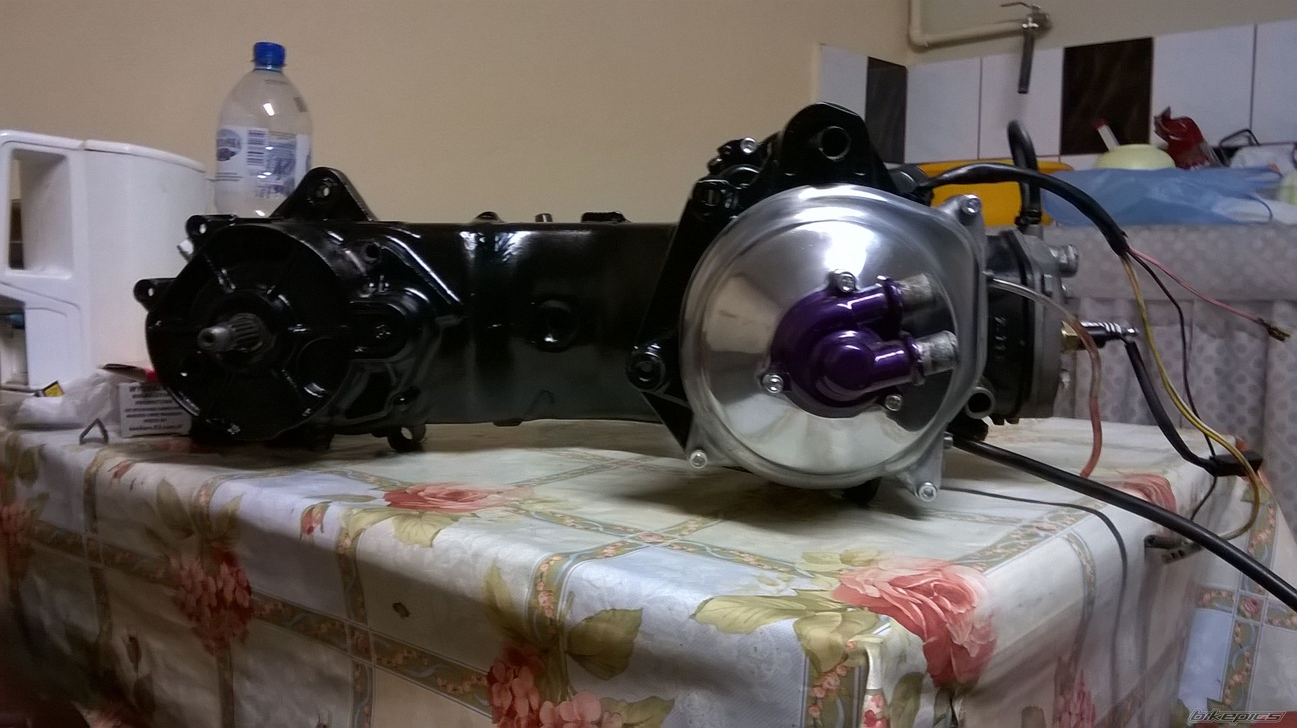 Photo 2737663