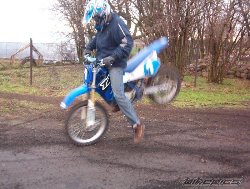 Photo 273790