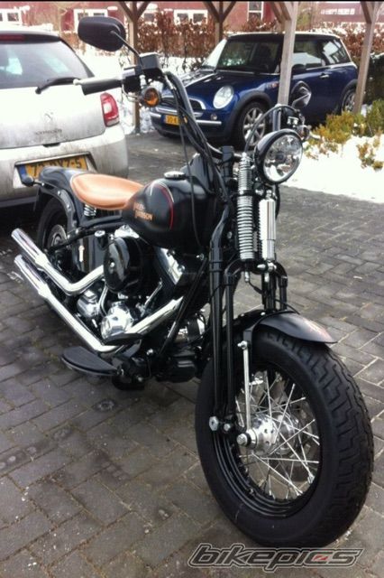 Photo 2737902