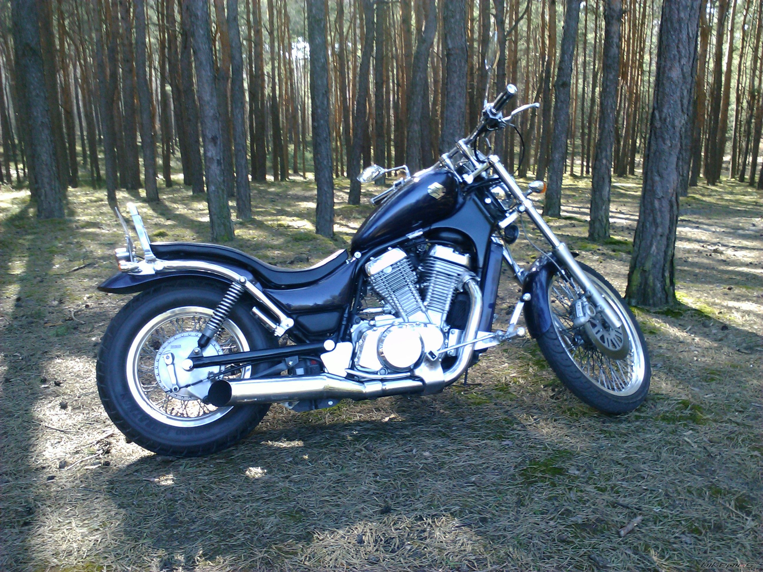 Photo 2738010