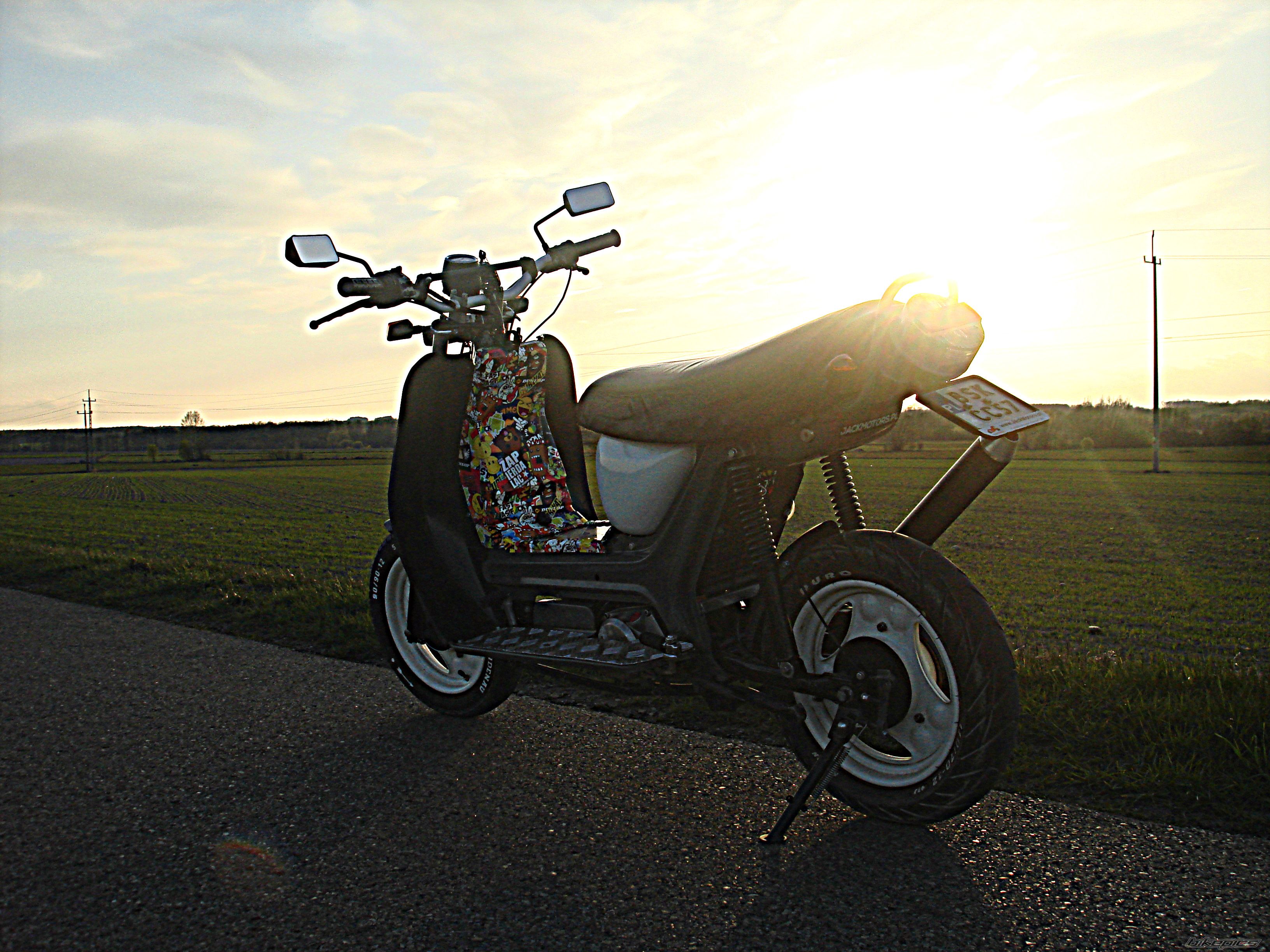 Photo 2738061