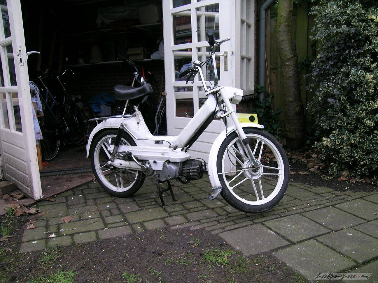Photo 273816