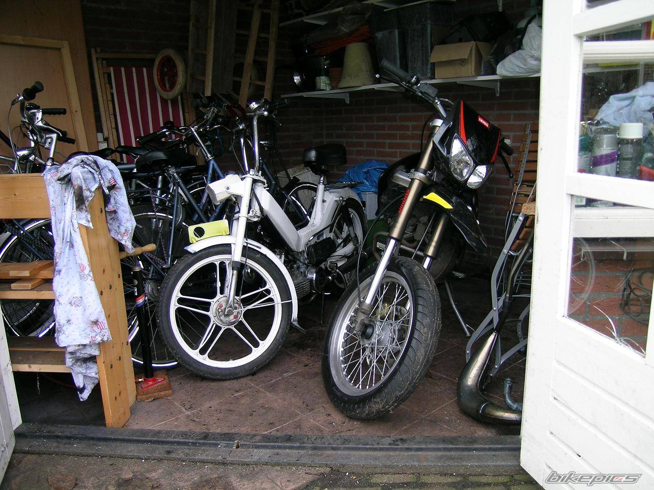 Photo 273817