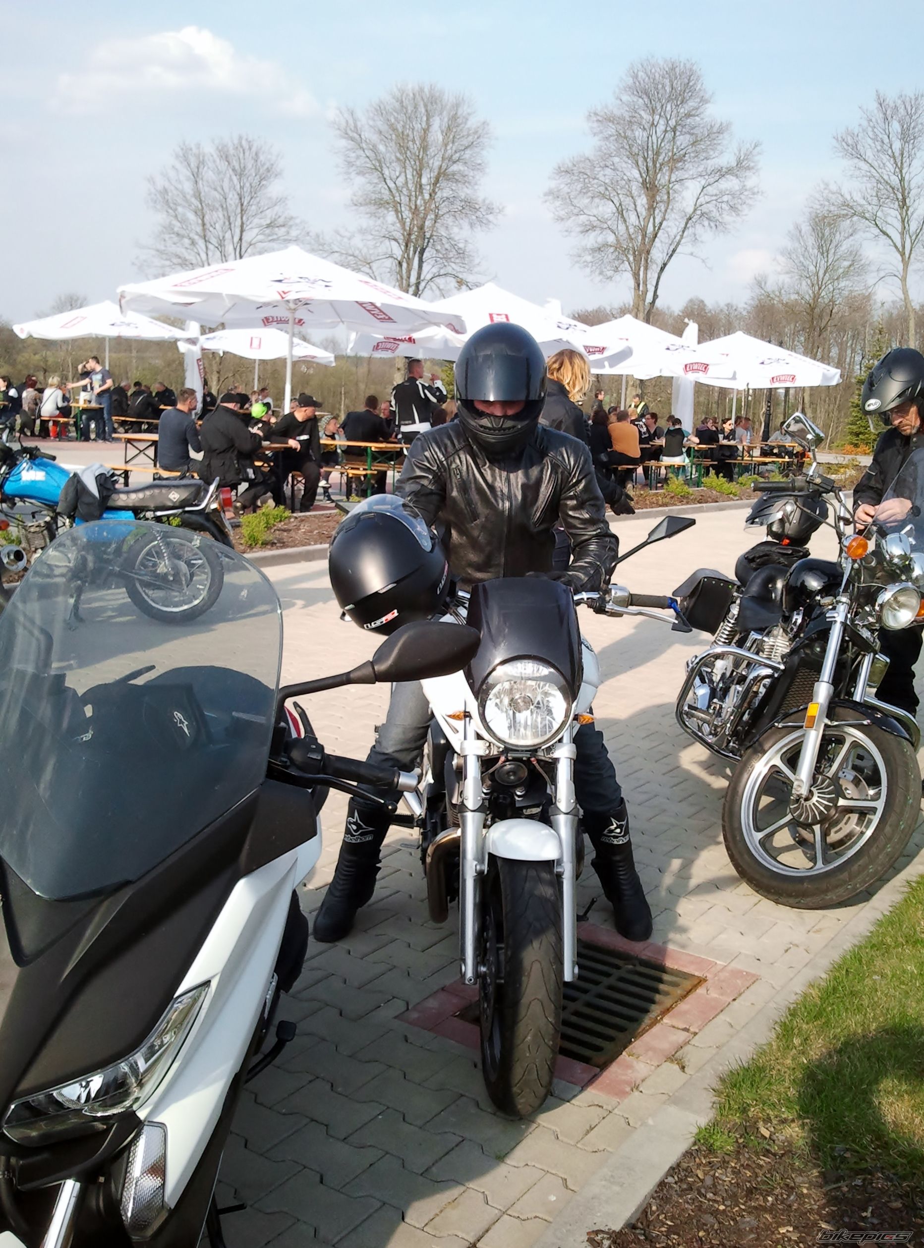 Photo 2738262