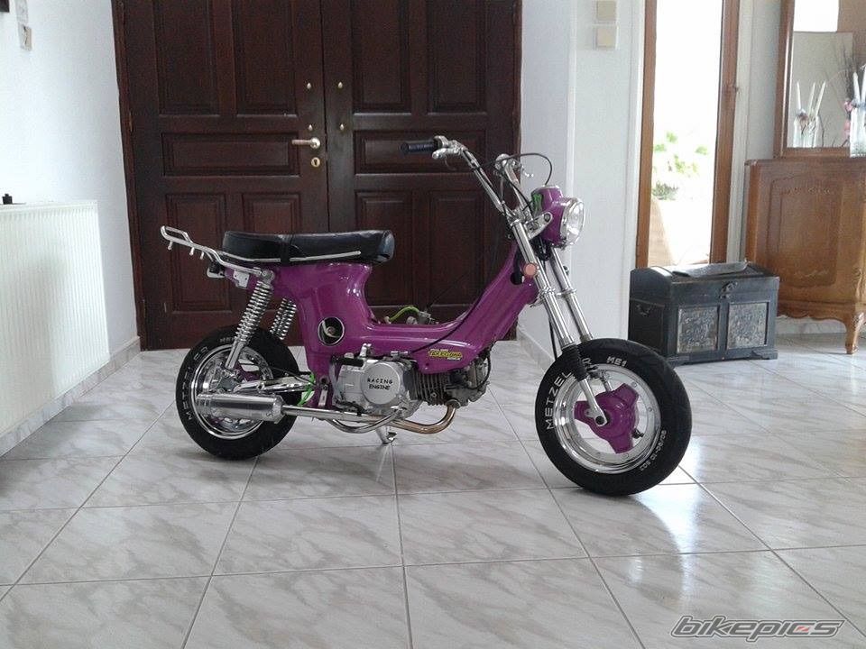 Photo 2738305